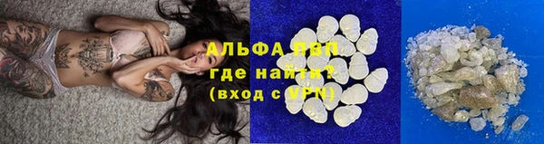 тгк Богданович