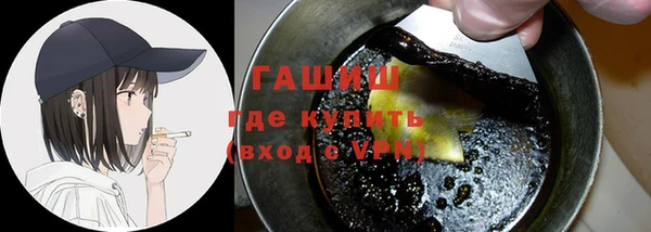 гидра Богородск