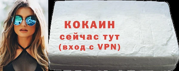 гидра Богородск