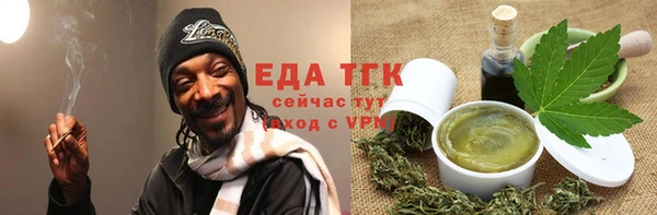 гидра Богородск