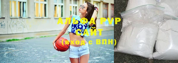 гидра Богородск