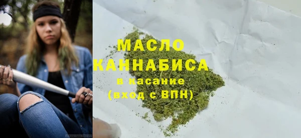 гидра Богородск