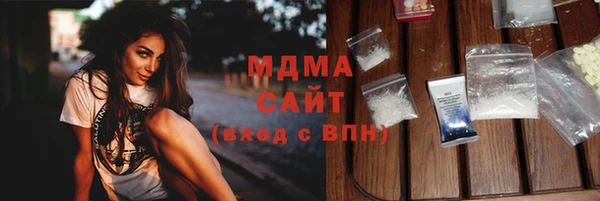 гидра Богородск