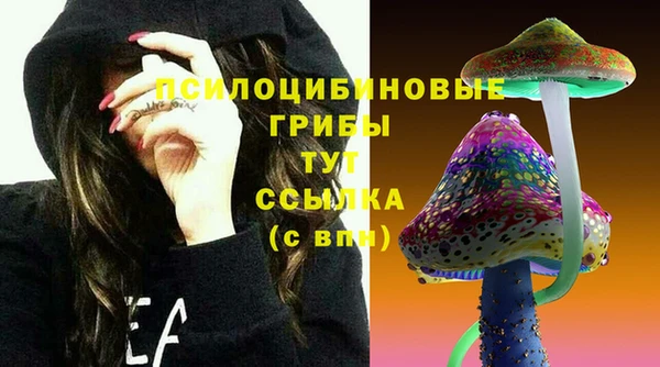 гидра Богородск