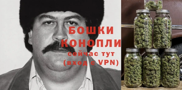 гидра Богородск