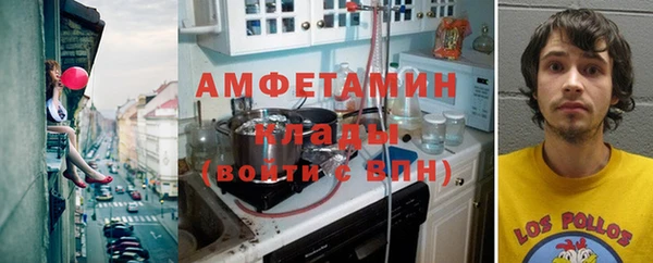 гидра Богородск