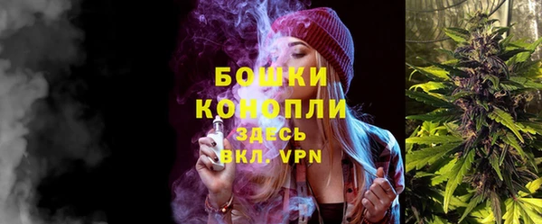 гидра Богородск