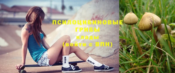 тгк Богданович