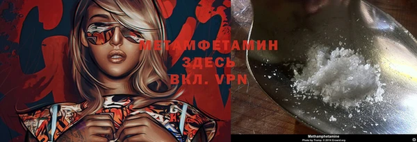 гидра Богородск