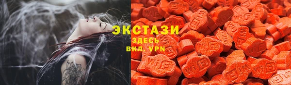 гидра Богородск